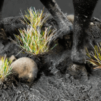 Huge Miniatures Tufts & Flowers - Frosty Grass Tufts