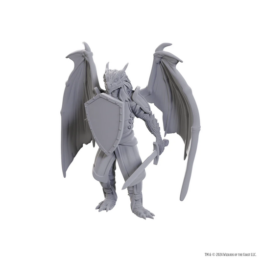 D&D Nolzur’s Marvelous Miniatures: W25 - Dragonborn of Bahamut