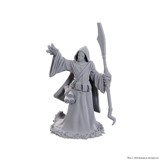 D&D Nolzur’s Marvelous Miniatures: W25 - Star Spawn Larva Mage
