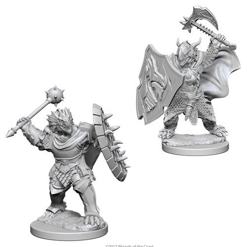 D&D Nolzur's Marvelous Miniatures - Dragonborn Male Paladin
