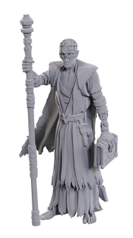 Dungeons & Dragons: Nolzur's Marvelous Unpainted Miniatures - Special Edition Baldur's Gate 3, Volo & Withers