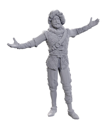 Dungeons & Dragons: Nolzur's Marvelous Unpainted Miniatures - Special Edition Baldur's Gate 3, Volo & Withers