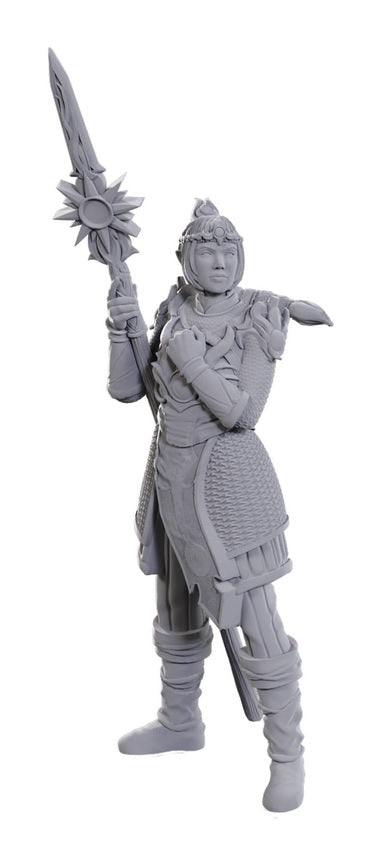 Dungeons & Dragons: Nolzur's Marvelous Unpainted Miniatures - Special Edition Baldur's Gate 3, Lae'zel & Shadowheart