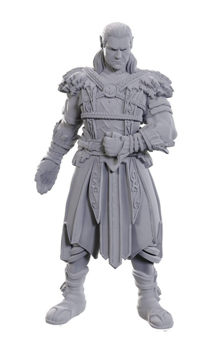 Dungeons & Dragons: Nolzur's Marvelous Unpainted Miniatures - Special Edition Baldur's Gate 3, Jaheira & Halsin