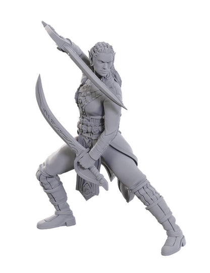 Dungeons & Dragons: Nolzur's Marvelous Unpainted Miniatures - Special Edition Baldur's Gate 3, Jaheira & Halsin