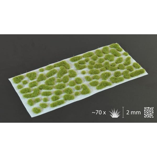 Dry Green 2mm Wild Grass Tufts