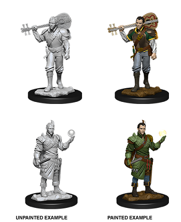 D&D Nolzur’s Marvelous Miniatures: W12 - Male Half-Elf Bard