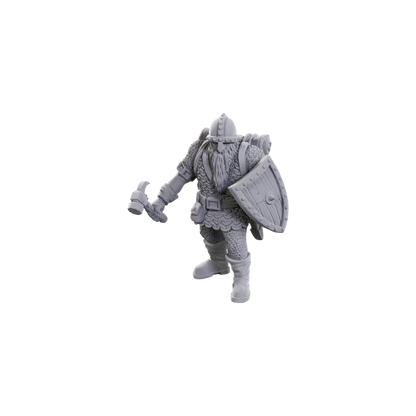 D&D Nolzur’s Marvelous Miniatures: Limited Edition 50th Anniversary - Dwarves