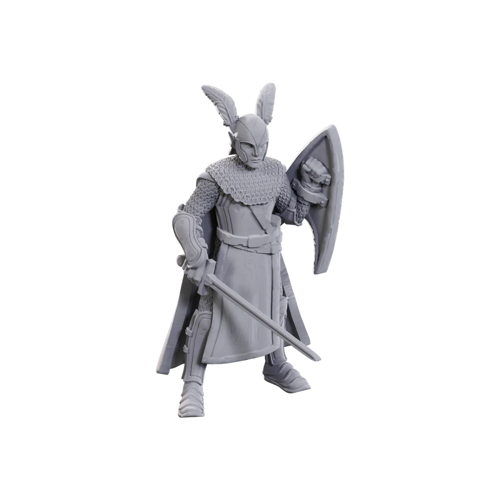 D&D Nolzur’s Marvelous Miniatures: Limited Edition 50th Anniversary - Elves