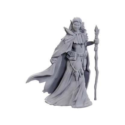 D&D Nolzur’s Marvelous Miniatures: Limited Edition 50th Anniversary - Elves