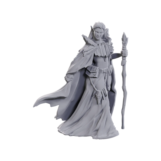 D&D Nolzur’s Marvelous Miniatures: Limited Edition 50th Anniversary - Elves