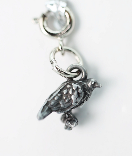 Traveler’s Trinkets: Raven Charm