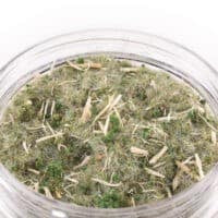 Huge Miniatures - 4 in1 Scatter, Tundra