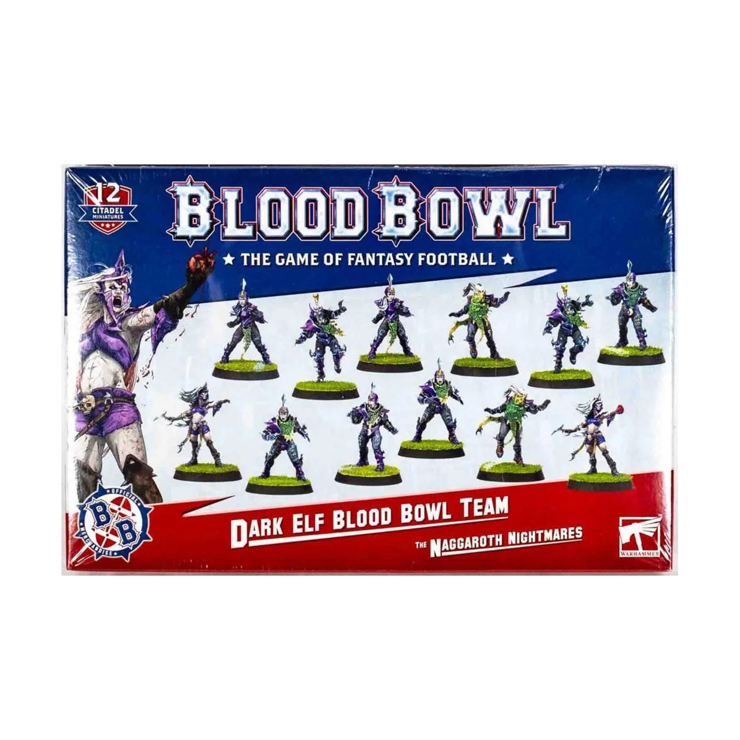 Blood Bowl - Dark Elf Blood Bowl Team – Naggaroth Nightmares