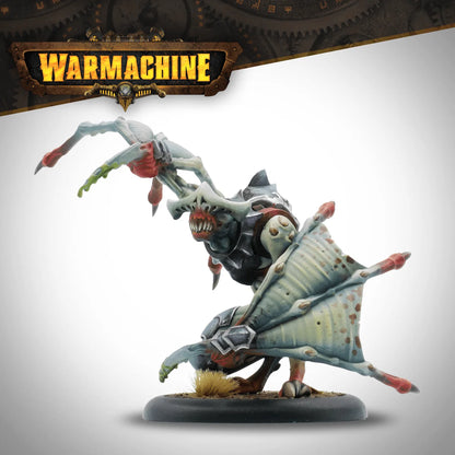 Warmachine: Dusk Fane of Nyrro - Death's Whisper Army Box