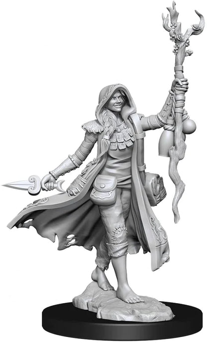 D&D Frameworks: W01 - Human Druid Female