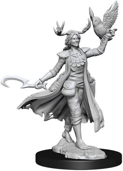 D&D Frameworks: W01 - Human Druid Female