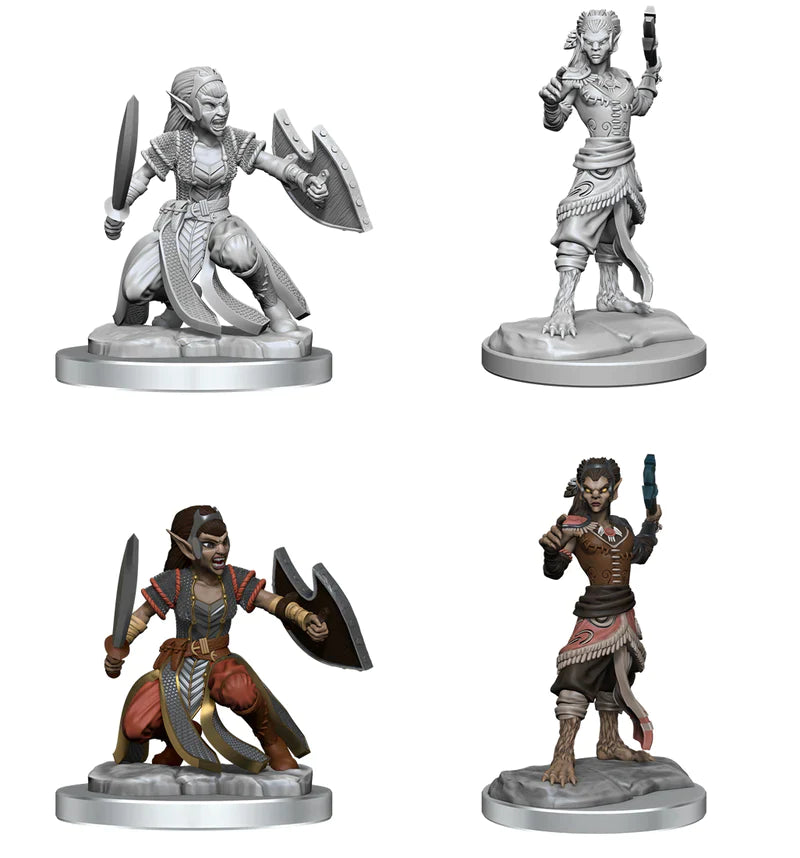 D&D Nolzur's Marvelous Miniatures: W20 - Shifter Fighter