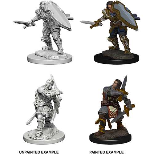 D&D Nolzur’s Marvelous Miniatures: W03 - Human Male Paladin