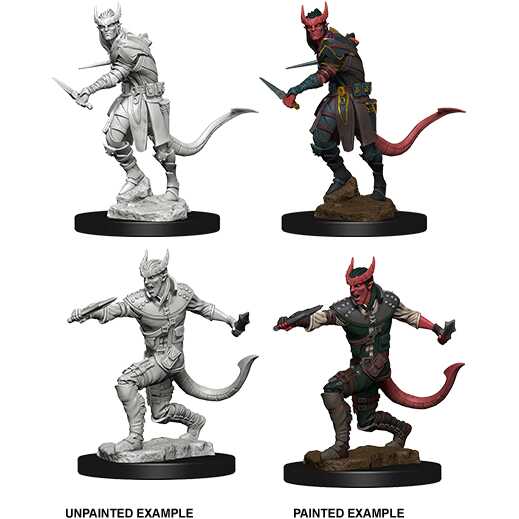 D&D Nolzur’s Marvelous Miniatures: W05 - Tiefling Male Rogue