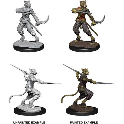 D&D Nolzur's Marvelous Miniatures: W07 - Tabaxi Male Rogue