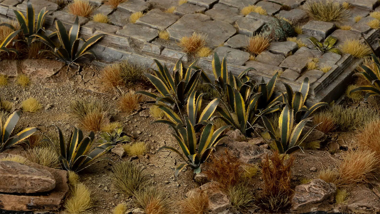 Agave Laser Plants