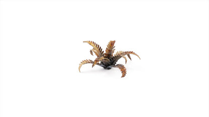 Alien Fern Laser Plants