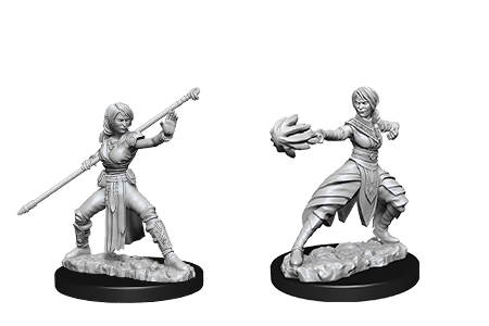 D&D Nolzur’s Marvelous Miniatures: W10 - Female Half-Elf Monk