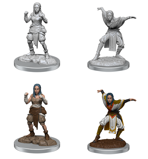 Deep Cuts Unpainted Miniatures: W21 - Half-Elf Monk Females