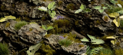 Gamers Grass - Elephant Ear