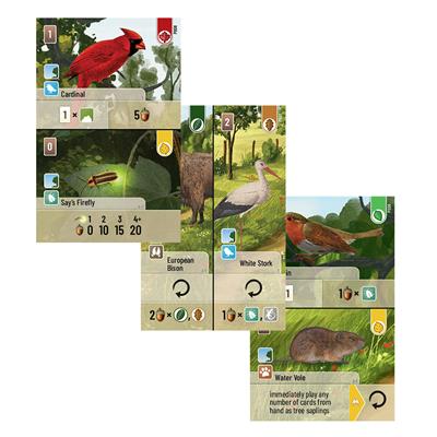 Forest Shuffle Exploration