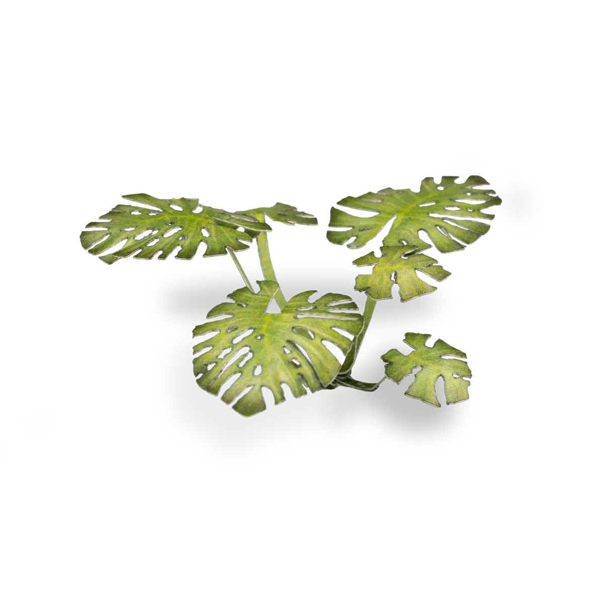 sims 4 monstera plant Gamers Grass - Laser Plants
