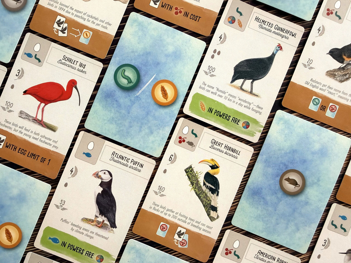 Wingspan Pocket Edition
