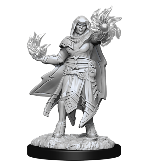 D&D Nolzur’s Marvelous Miniatures: W15 - Hobgoblin Figher Male and Hobgoblin Wizard Female