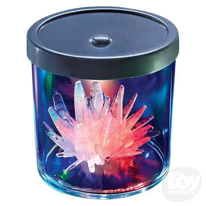Crystal Growing Kit