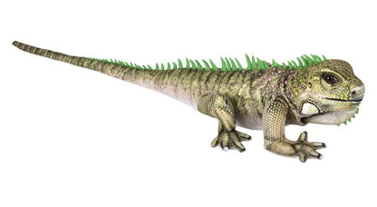 Plush Iguana