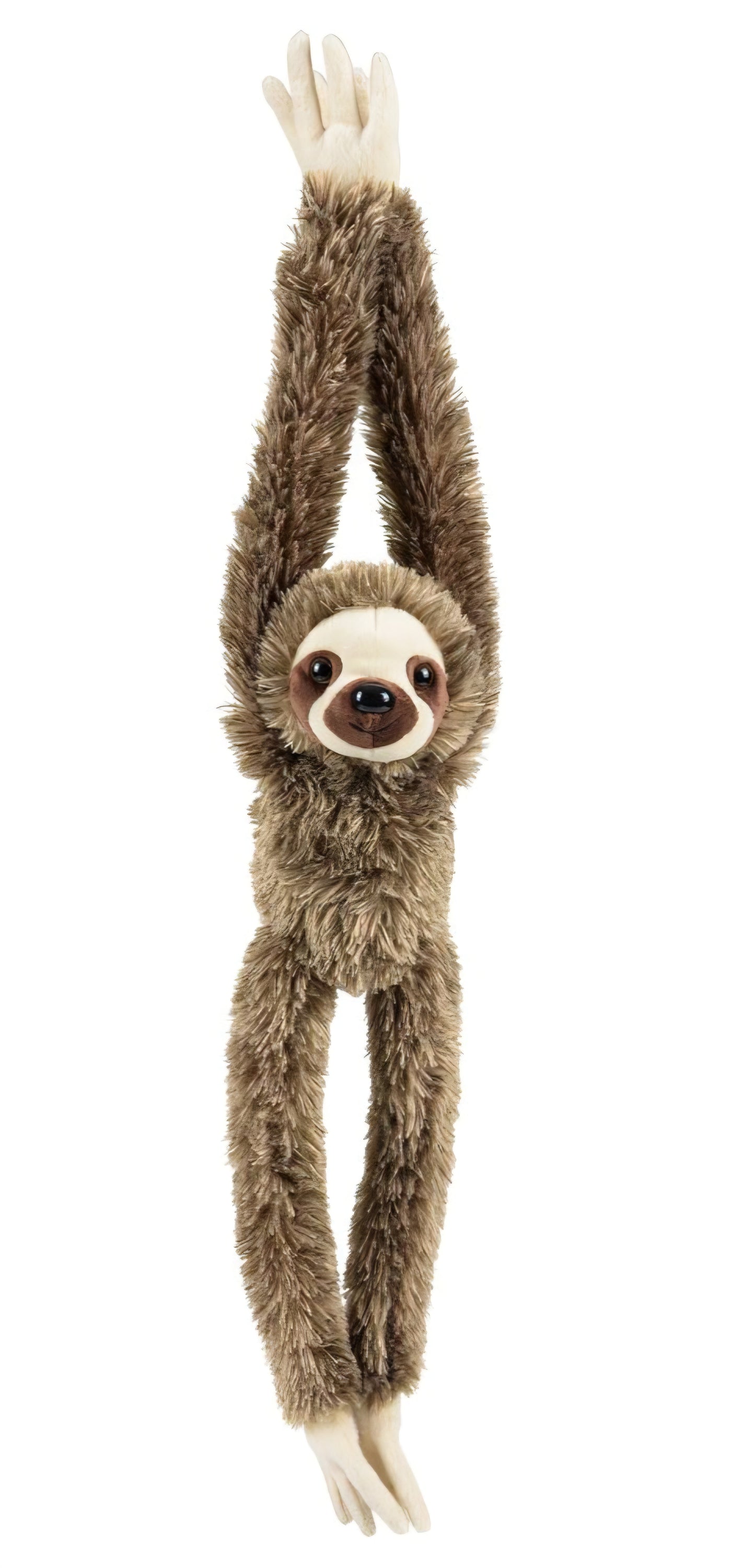 Hanging Sloth