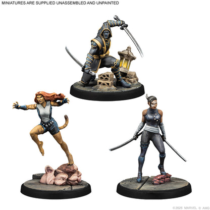 Marvel Crisis Protocol - Echo, Ronin, Tigra Character Pack