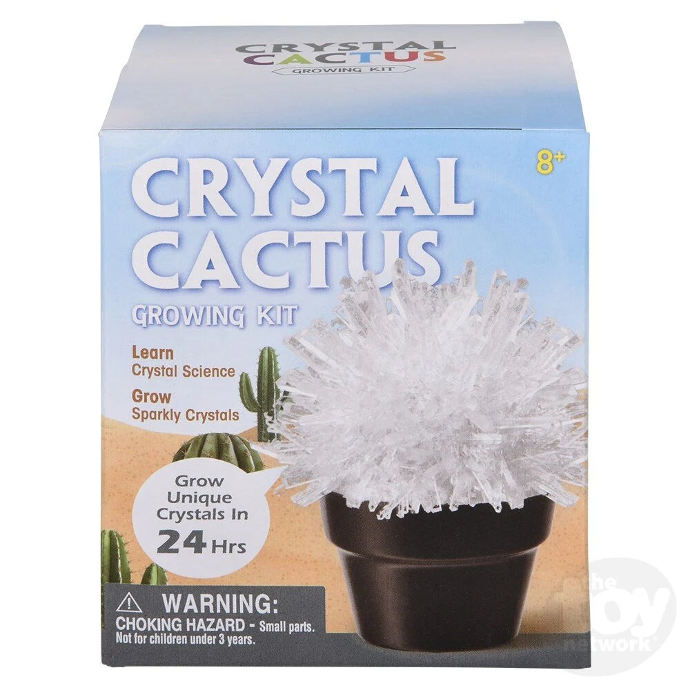 Crystal Growing Cactus Kit