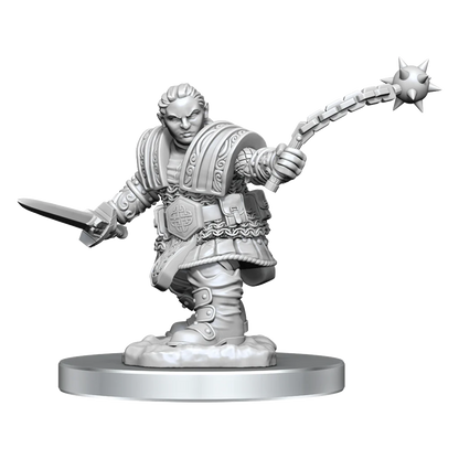 D&D Nolzur’s Marvelous Miniatures: W16 - Dwarf Female Fighter