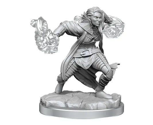 D&D Nolzur’s Marvelous Miniatures: W20 - Half-Elf Warlock