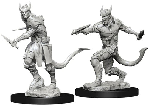 D&D Nolzur’s Marvelous Miniatures: W05 - Tiefling Male Rogue