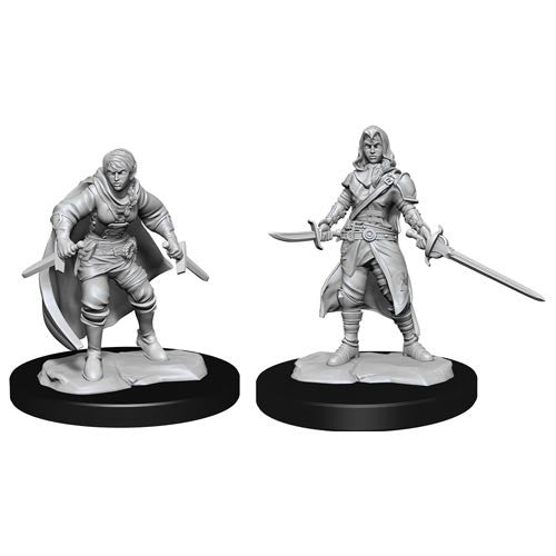 D&D Nolzur’s Marvelous Miniatures: W14 - Half-Elf Rogue Female