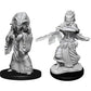 D&D Nolzur's Marvelous Unpainted Minis: W14 - Night Hag & Dusk Hag