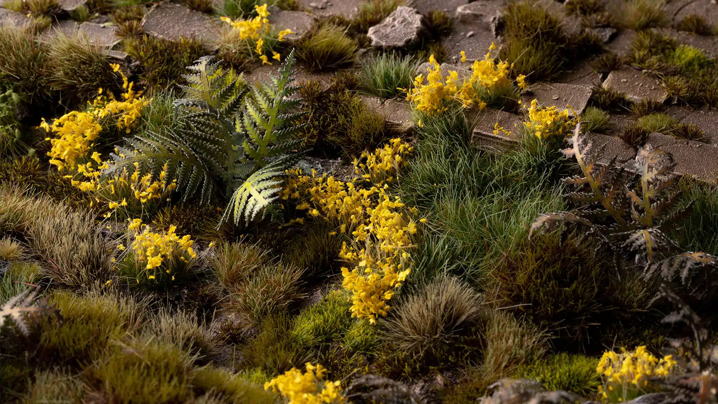 Yellow Flowers Wild Tufts