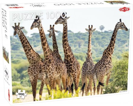 Puzzle 1000 - Tall Giraffes