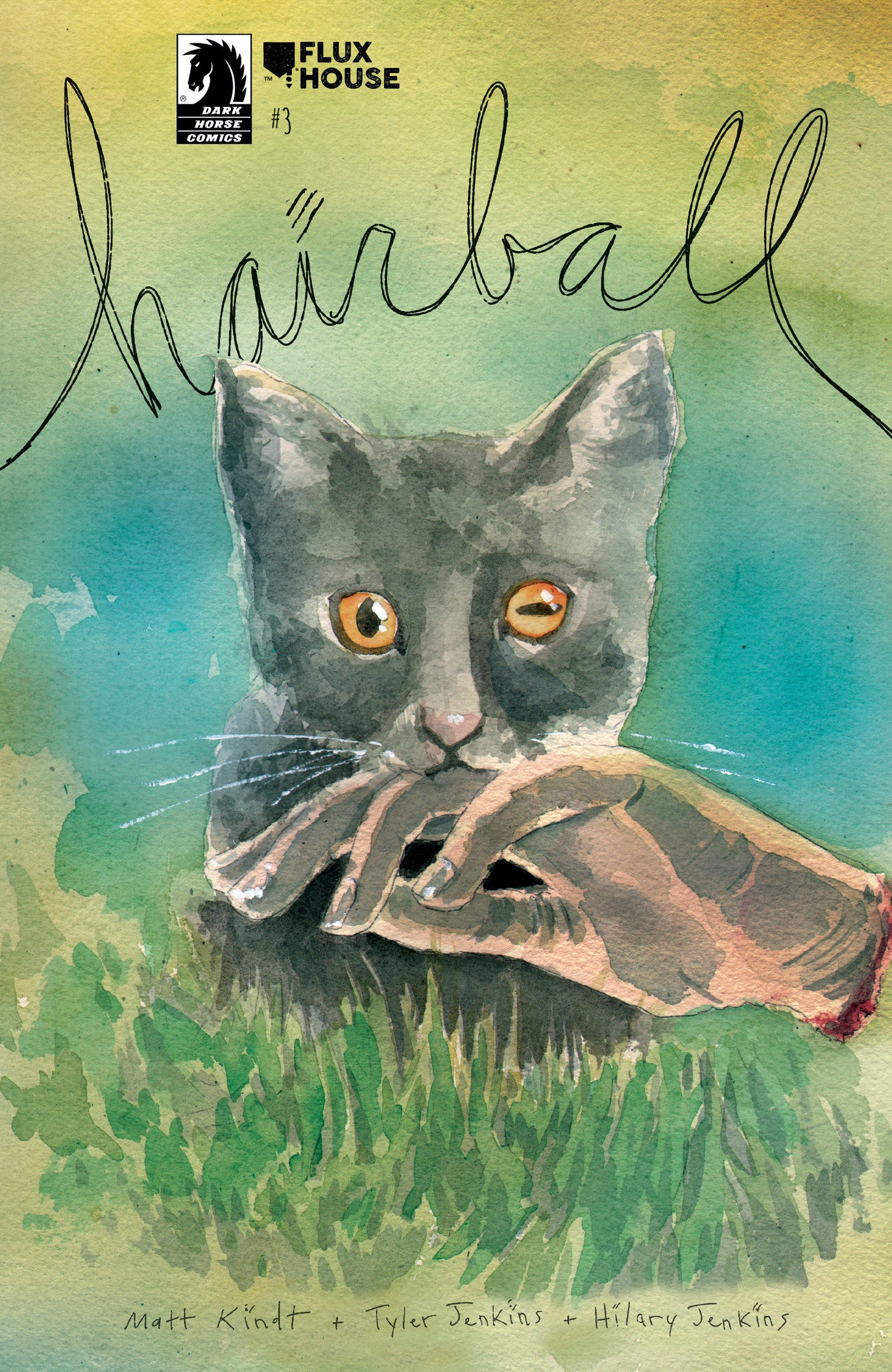 Hairball #3 (Cover A) (Matt Kindt)