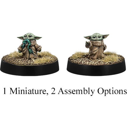 Star Wars Legion -  Din Djarin & Grogu