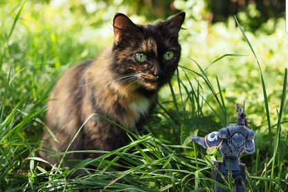 40K - Joytoy: Ultramarines Incursors