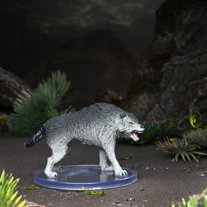 D&D Icons of the Realms Miniatures: Spell Effects, Wild Shape & Polymorph, Set 2